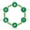 Clinical Coaching - Athletic Performance