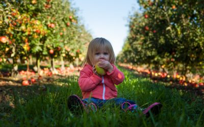 10 Tips To Set Up Toddlers For Good Eating