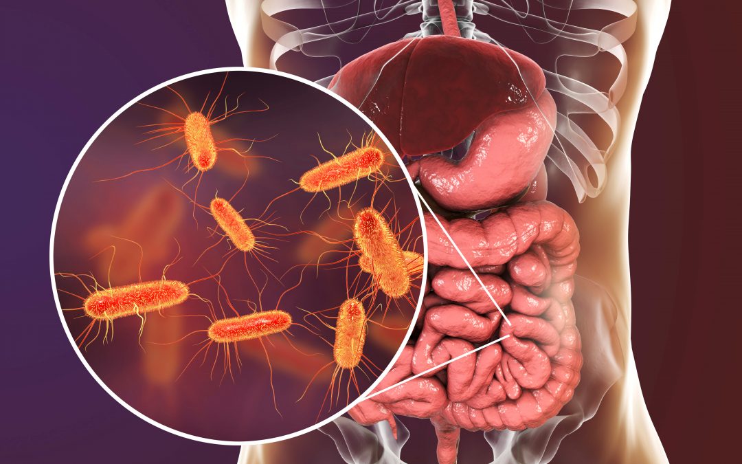 Leaky gut syndrome исследования