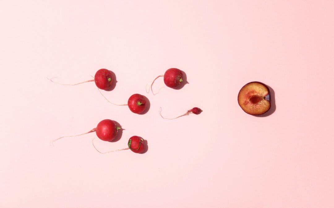 MALE INFERTILITY – Withania Improves Sperm Count