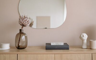 Dan Go’s Guide to Creating The Healthiest Home On The Planet